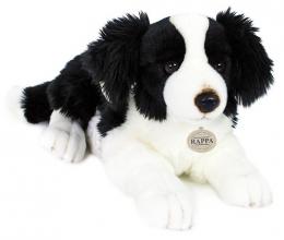 PLY� Pes Border Kolie 45cm le��c� Eco-Friendly *PLY�OV� HRA�KY*